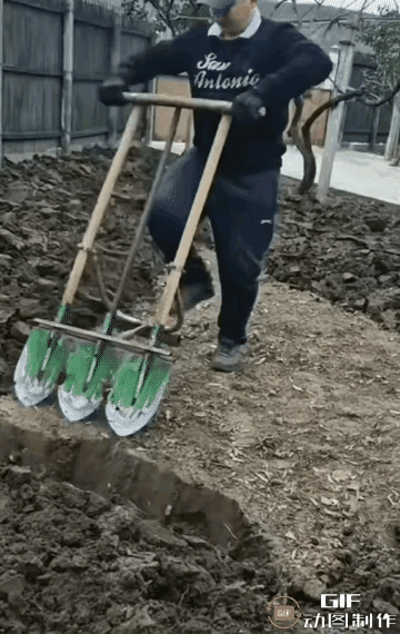 只有这种软的沙土才用得着三把锹翻！要是那种黃粘土板地，你翻了三下就累死了！费力废