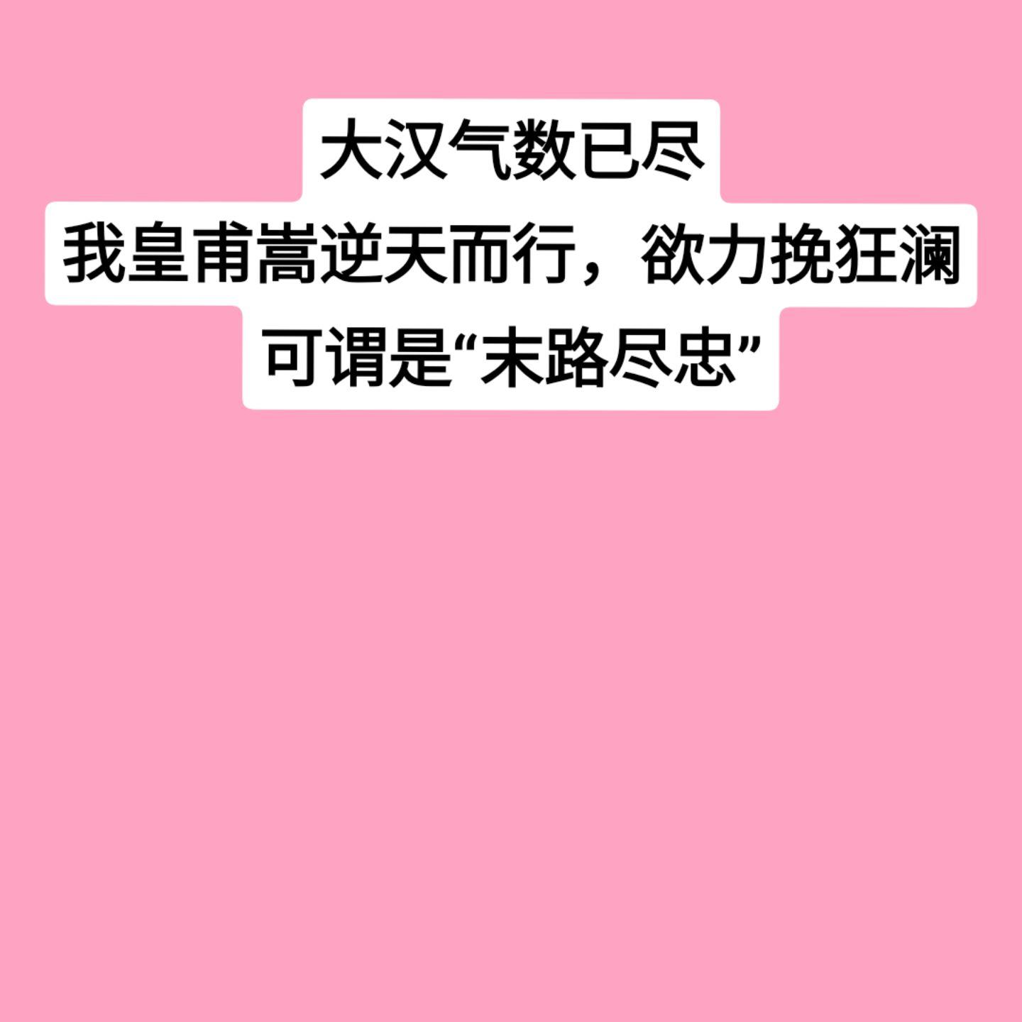东汉最后一个名将。