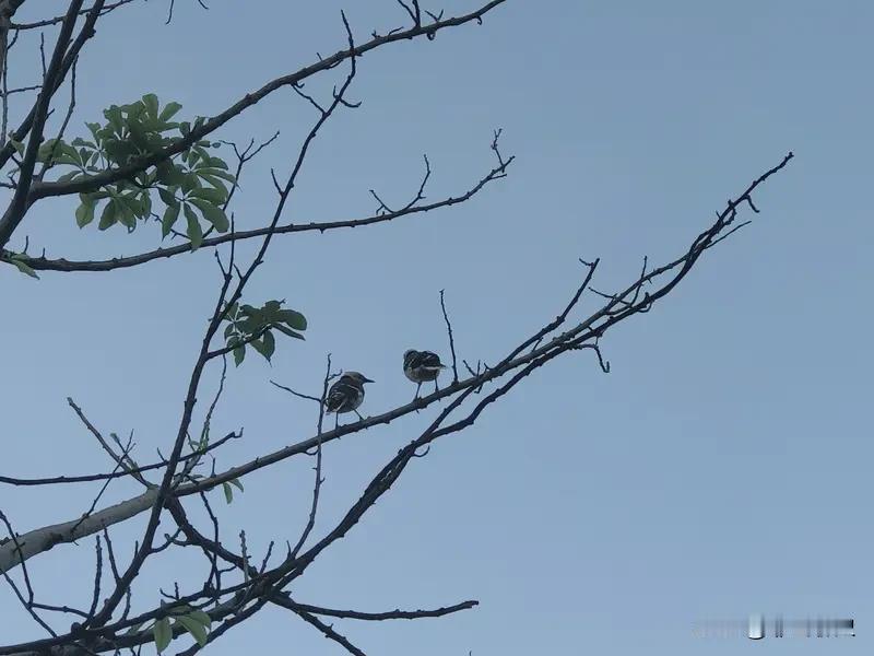 任何关系行至终点，不过是相识一场罢了。用心经营之人难免心累，无心对待之人则毫不在