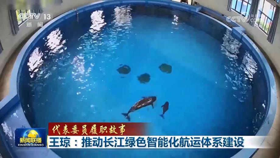 [代表委员履职故事]王琼:推动长江绿色智能化航运体系建设