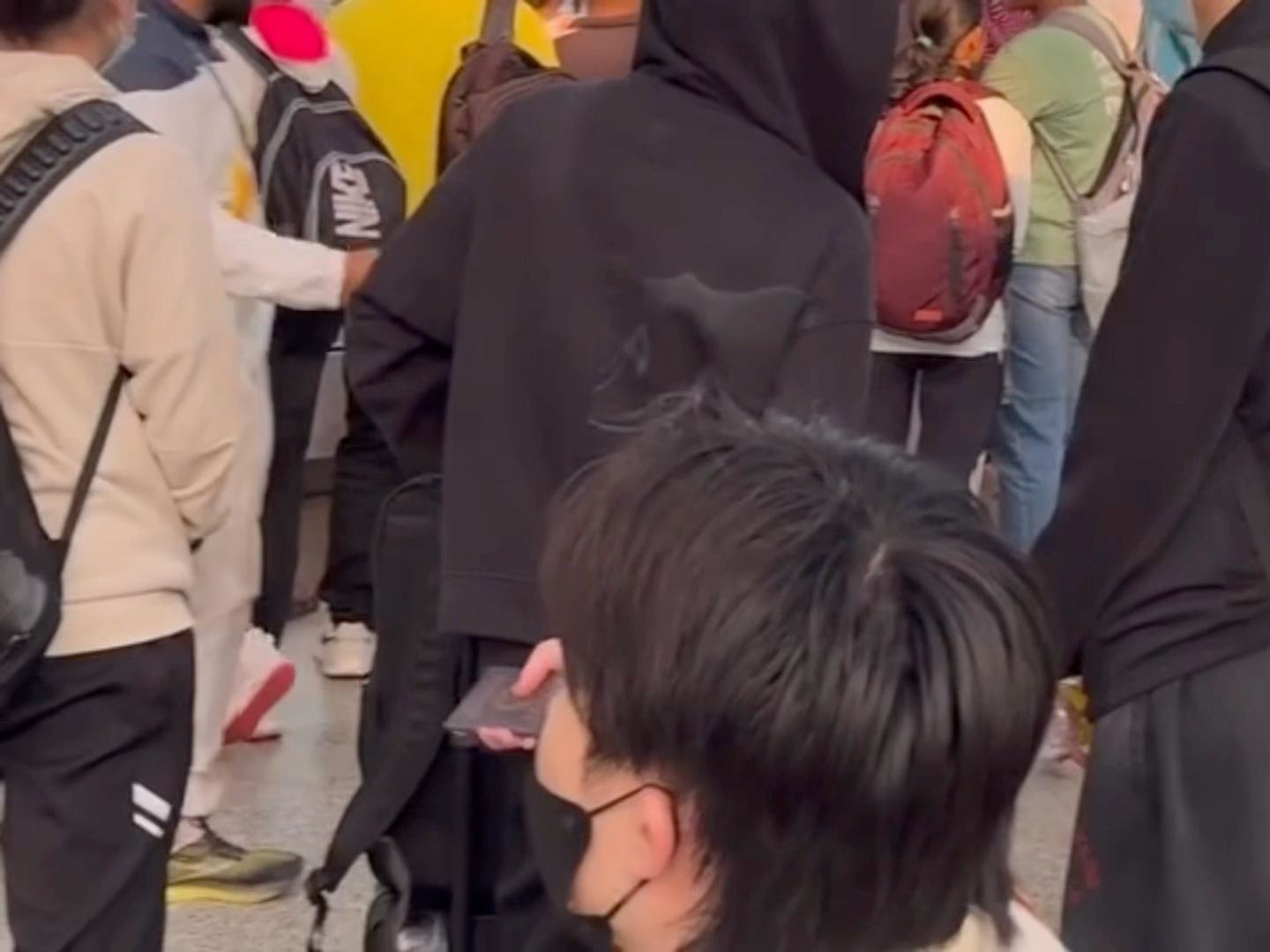 出现一个小狗脑袋 ​​​
