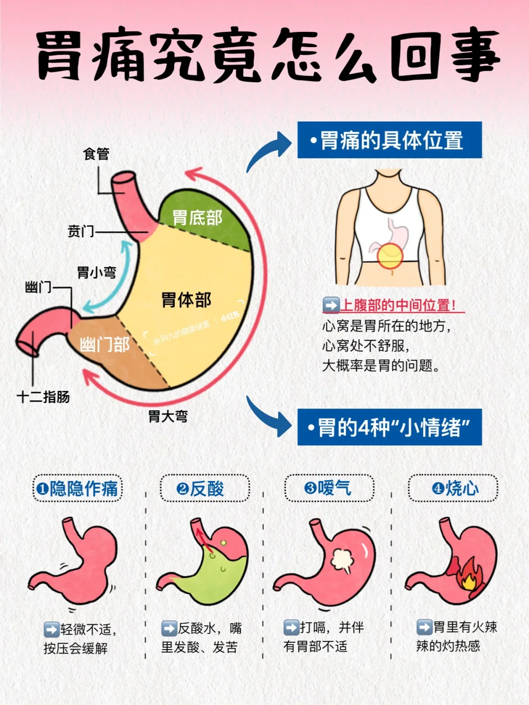胃痛越拖越严重！保护+保养要同步进行！