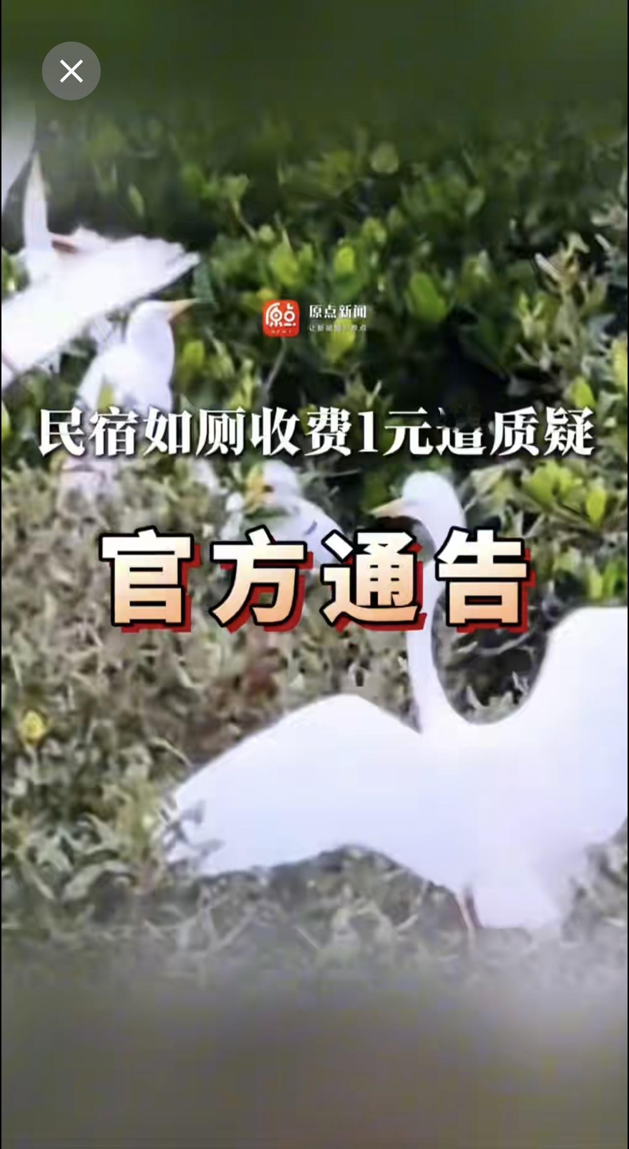 广东盐洲岛一民宿如厕收费1元遭质疑，老板娘哭诉：周边长期无公厕，游客频繁借用私人