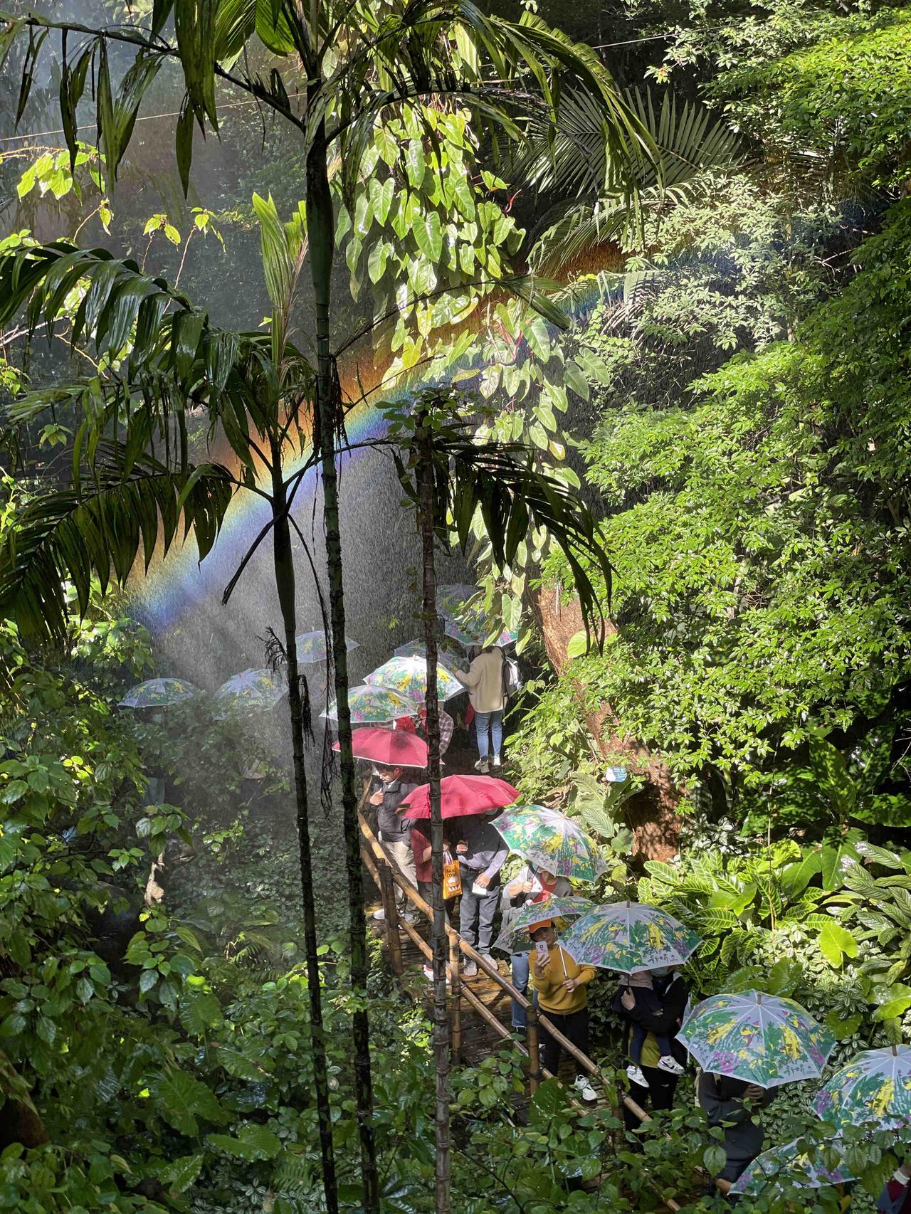 冬日生活打卡季深圳青青世界打卡