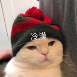 仁花说说汽车