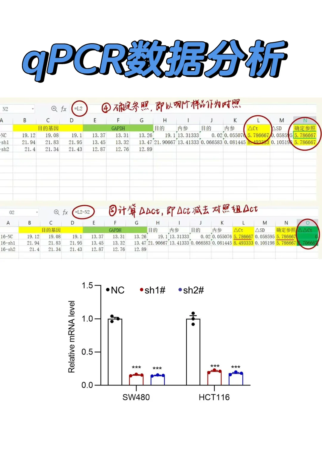 qPCR数据分析（快速版）～