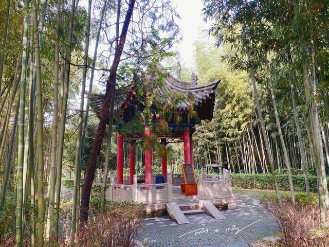 实拍西安“草堂烟雾”，被誉为关中八景之一，游客却说：像加湿器？

作为我国“四大