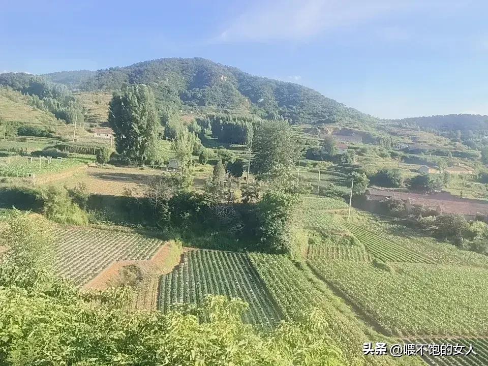 兄弟姐妹们，我这几从浙江跑到山东调研呢！[捂脸]我现在在山东鲁中南地区，这里庄稼