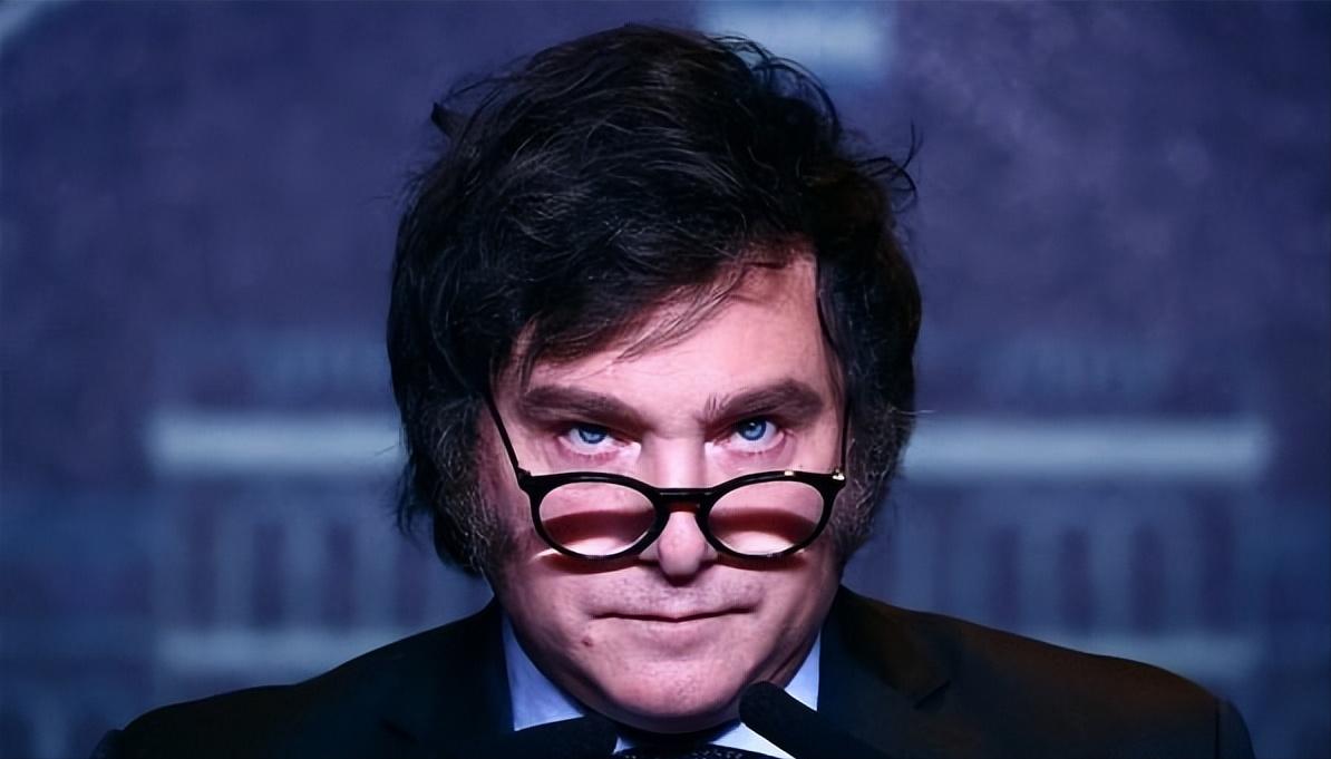 阿根廷总统米莱表示，准备向欧盟供应石油和天然气
 
米莱在布达佩斯举行的国际保守