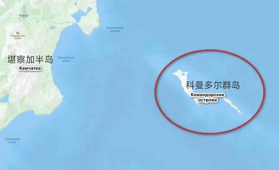 《防务快报》报道，驻爱沙尼亚美军中校杰弗里·弗里茨提出一个建议，美国可以向俄罗斯