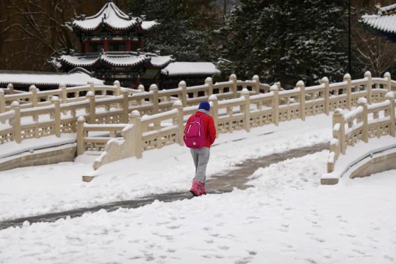 冬雪诗画
六瓣琼花遍地开，
凌空漫舞任风裁。
山河素裹描冬画，
白银堆满上瑶台。