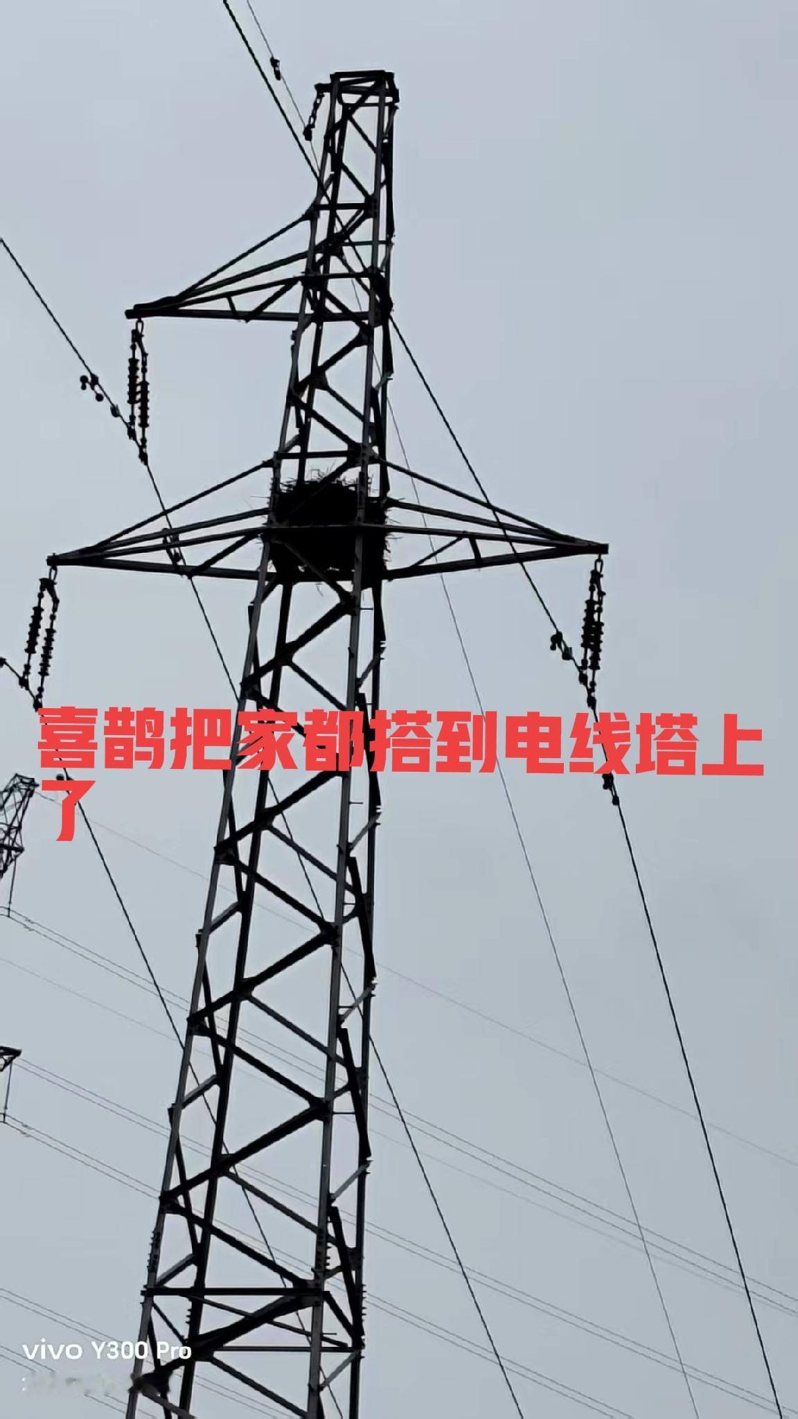 发没发现，只要你勤快，每天出门不管是锻炼也好，还是散步也好，只要你注意观察周围，