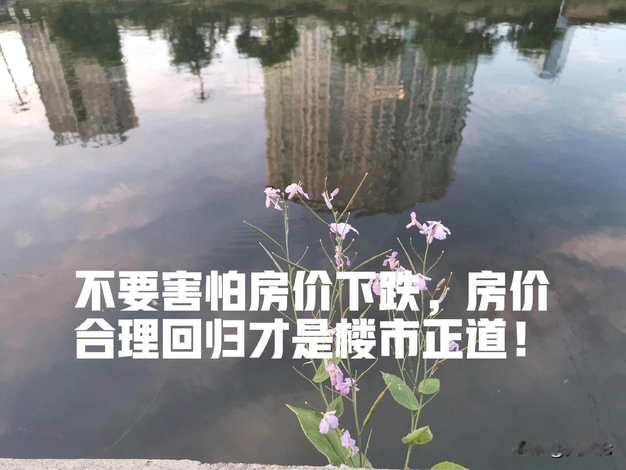 千万不要害怕房价下跌，房价合理回归才是楼市正道。

在当前的经济环境下，我国房地