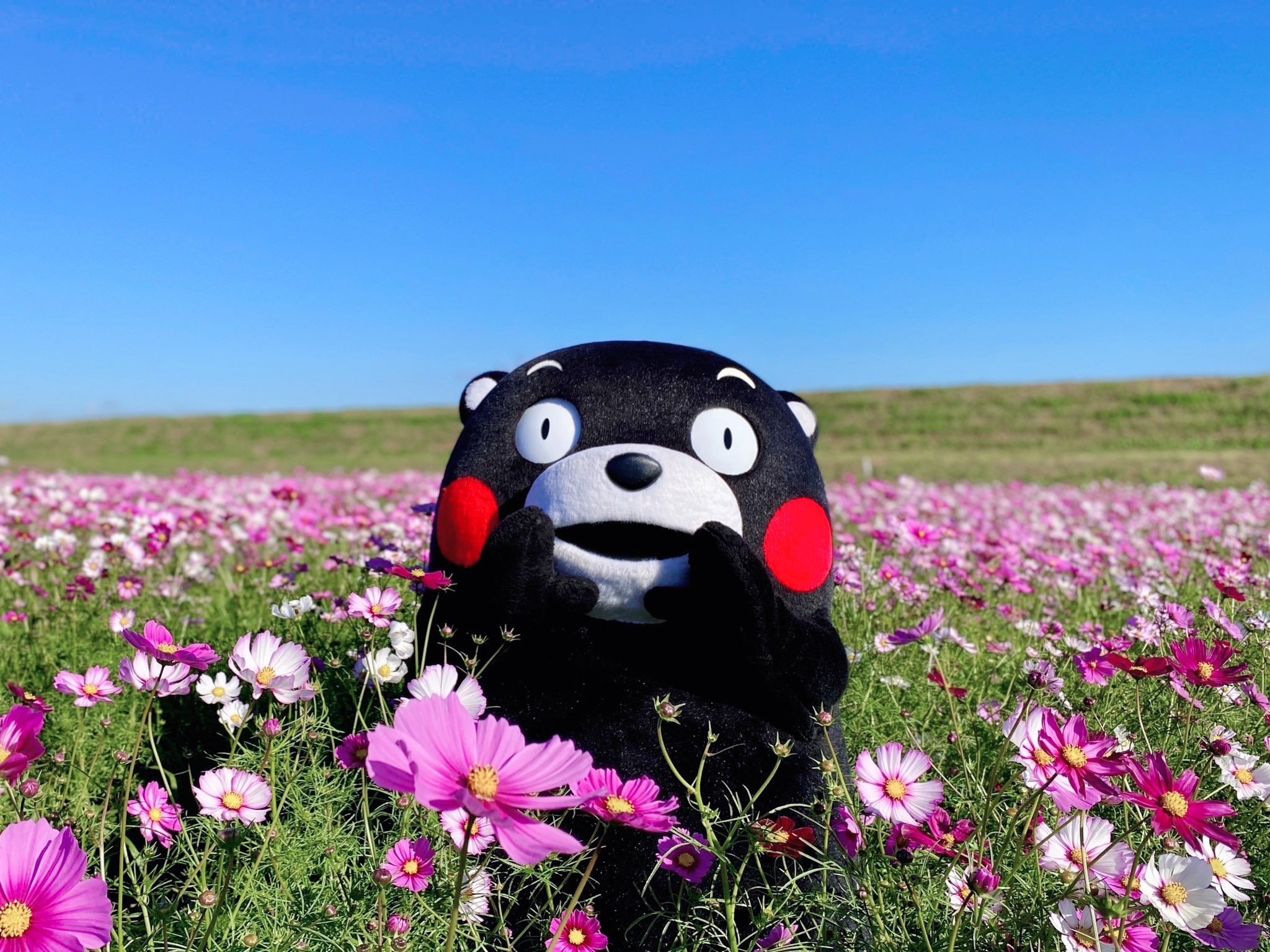 [太开心] ​​​