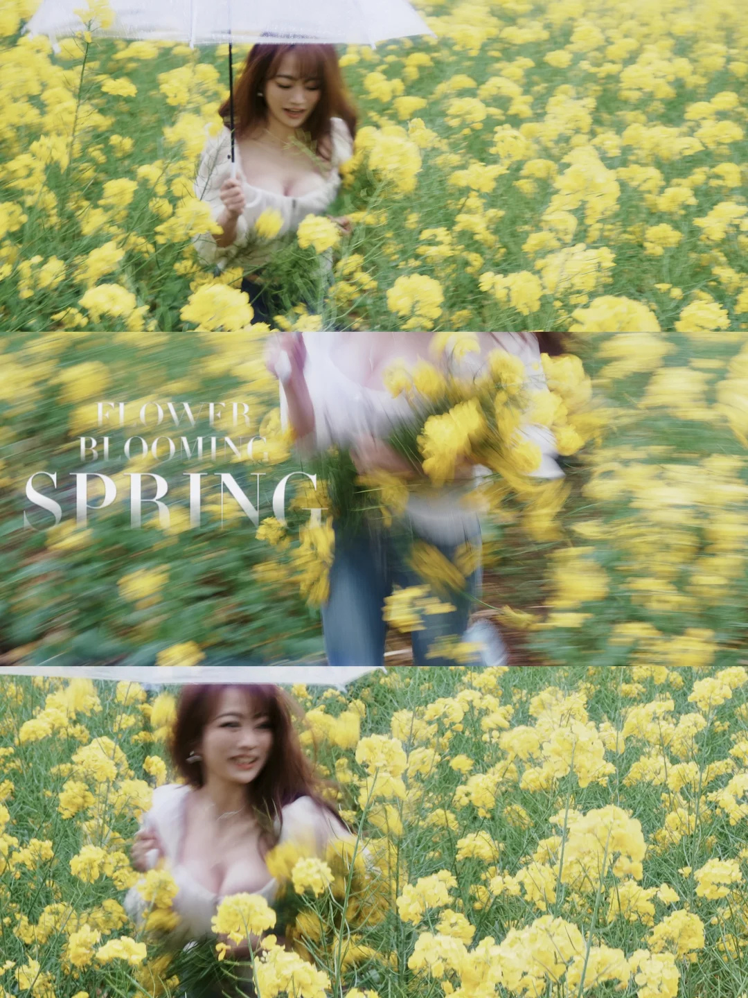 雨天油菜花🌼绝美出片…