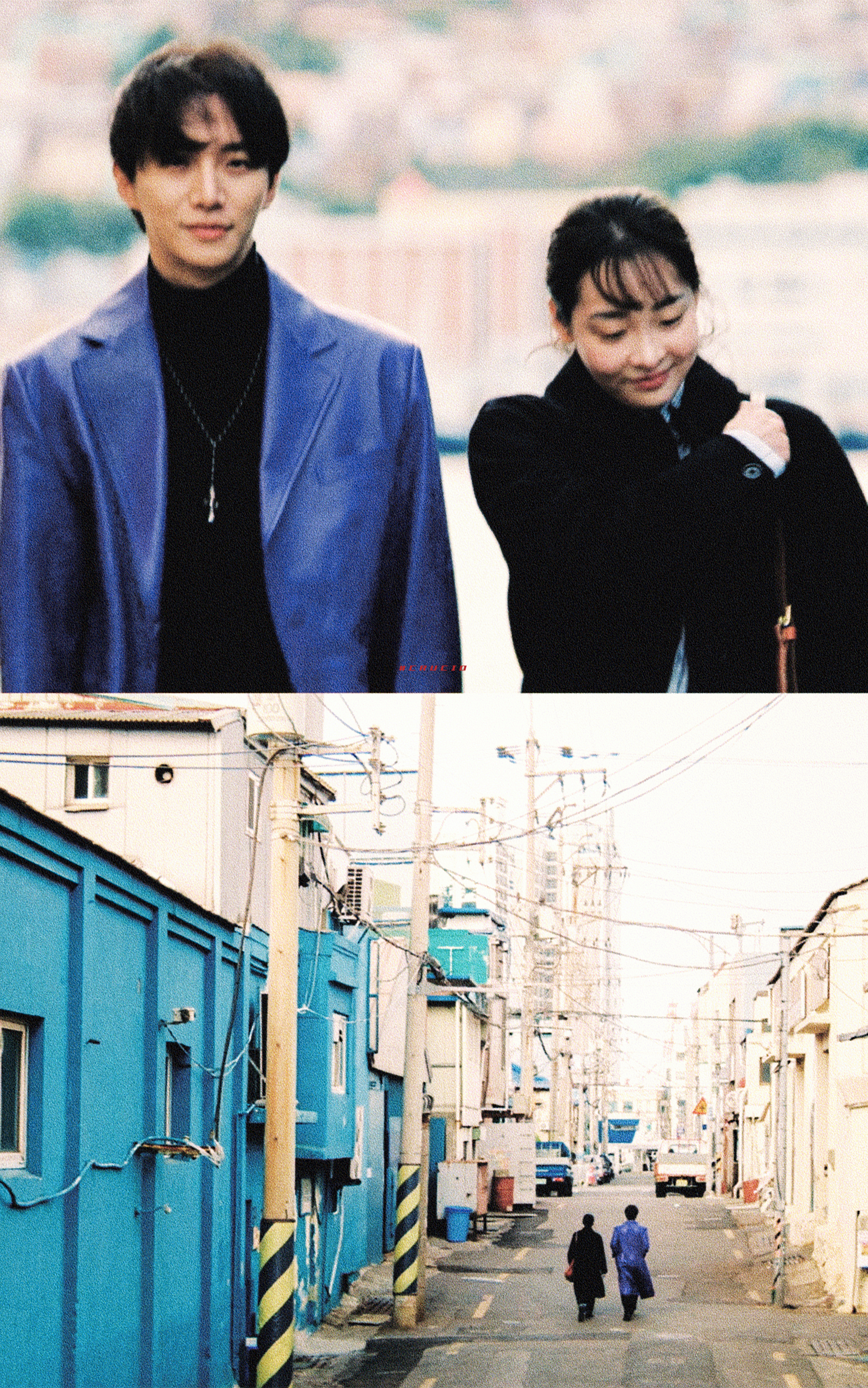 《台风商社》怎么办家产天生就是打直球的[偷乐] ​​​