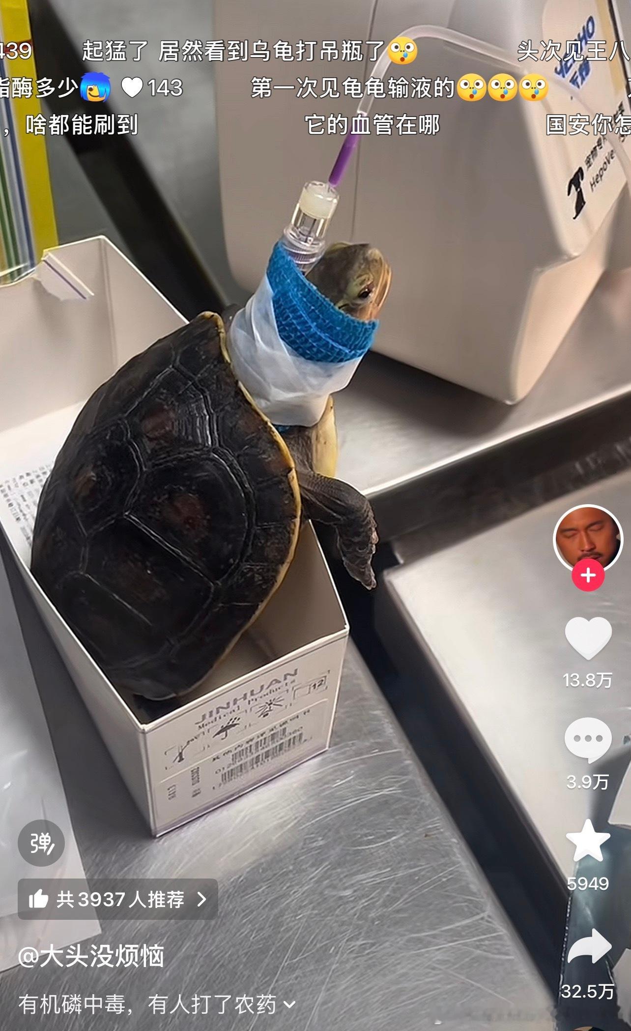 你在宠物医院见过哪些离谱的病例动物奇遇记 ​​​