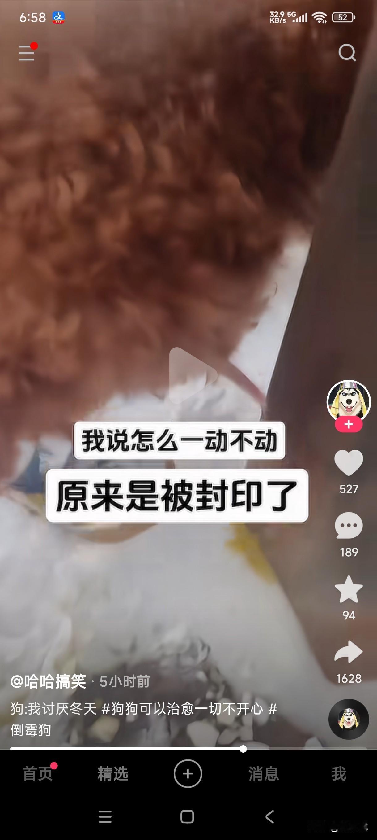 狗子无论如何都没想到自己随便撒尿的行为竟被封印了，小鸟粘在水泥柱子上不知道疼不疼