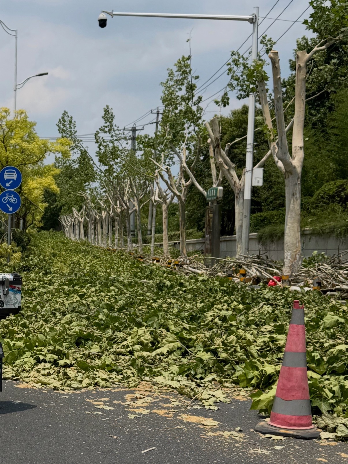 巴威登陆地点有变台风巴威又睁眼了为了应对台风巴威，我们徐州已经开始提前砍树了，本
