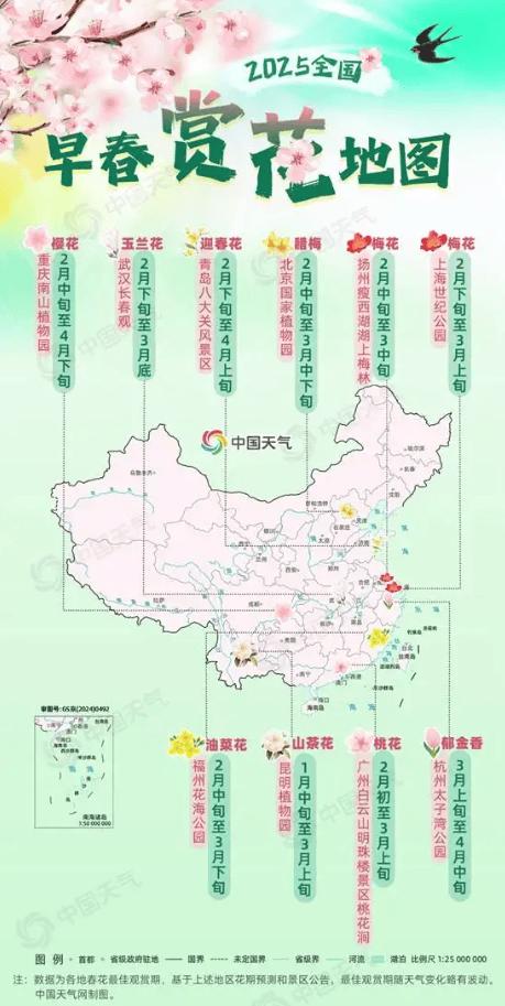 中国天气网出了一版“2025全国早春赏花地图”，其中就有青岛八大关。

除了北京