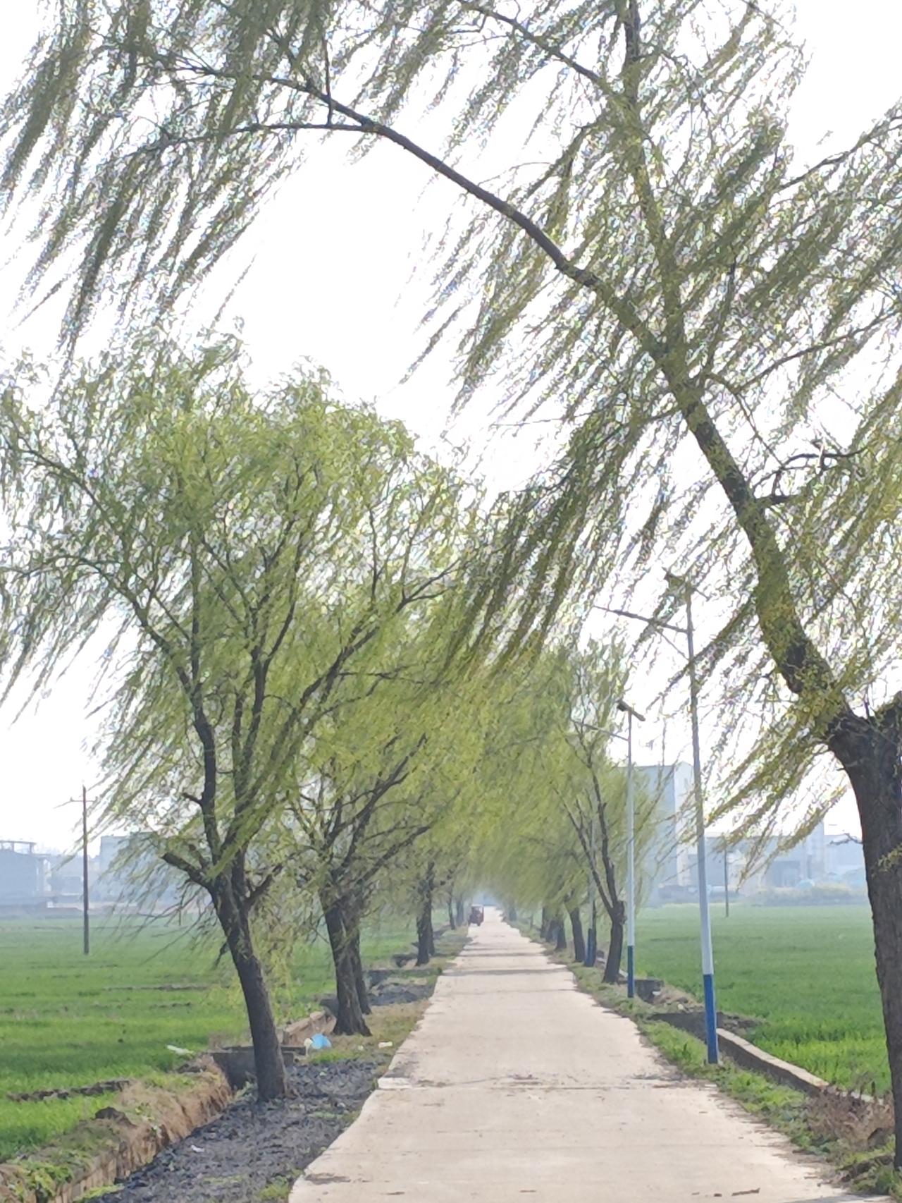 十年没有涨价的商品有哪些？在物价飞涨的今天，确实有不少商品坚守着“良心价”，十年