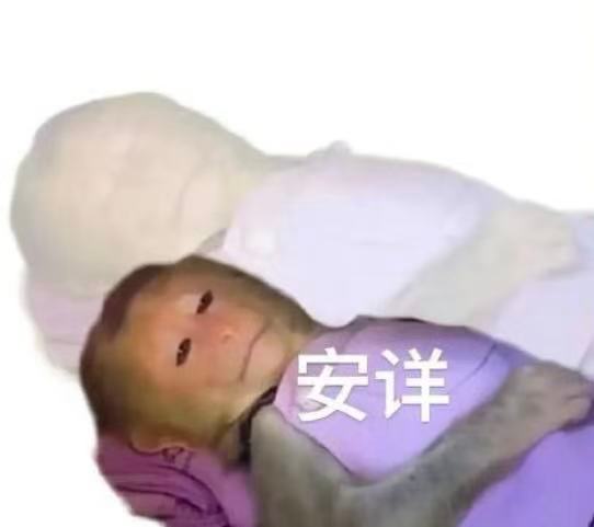 生活把我按倒，我就美美躺下 
