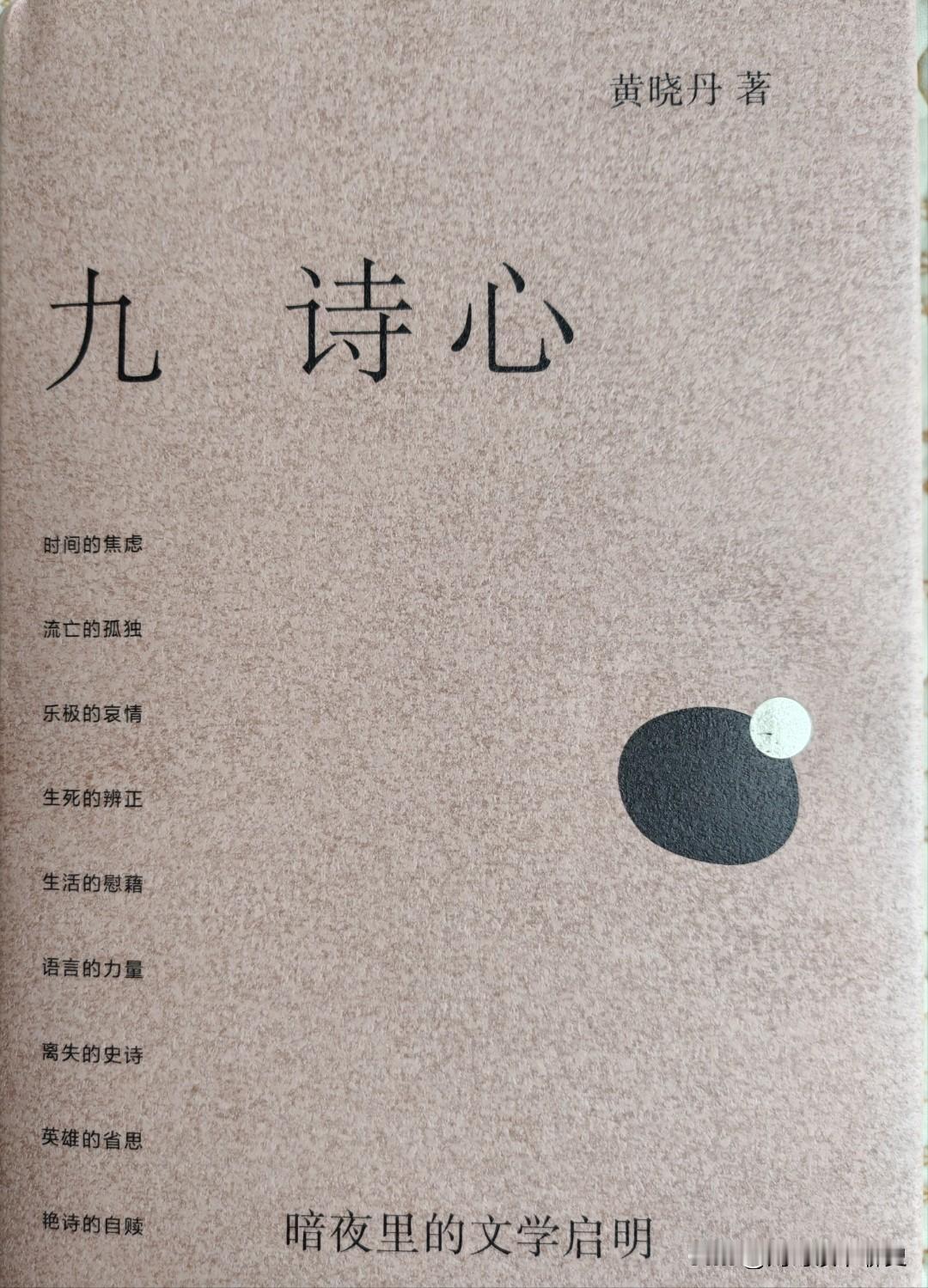 《九诗心》：不只是讲诗，是讲人怎么扛过去

这本书是大学老师黄晓丹写的，她选了九