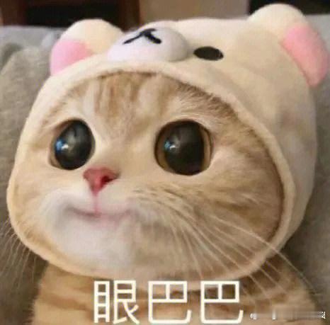 不健康的亲密关系要尽早远离总被亲密关系拖入情绪深渊？别等运势指点，及时止损才是王