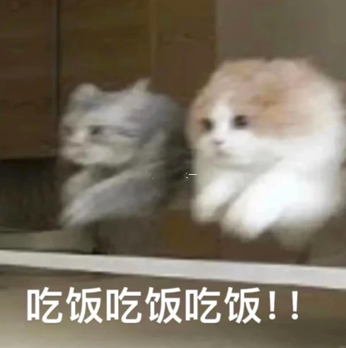 黄宗泽说自己是一个资深吃货黄宗泽在颁奖典礼分享了出国游玩的小技巧，靠大众点评双榜