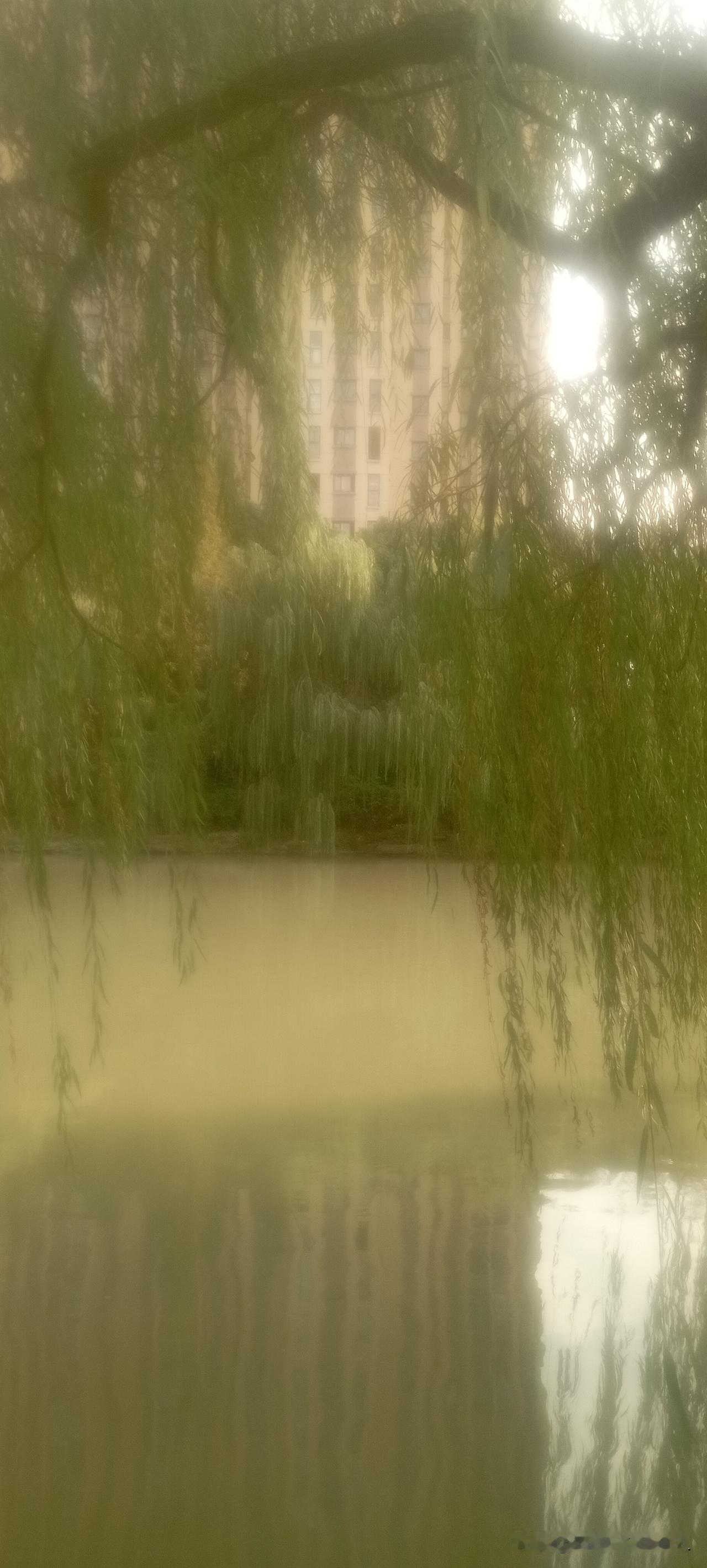 “好心不一定有好报”，这句话真的很扎心，而我不止一次的为此痛彻心扉。被误解的真诚