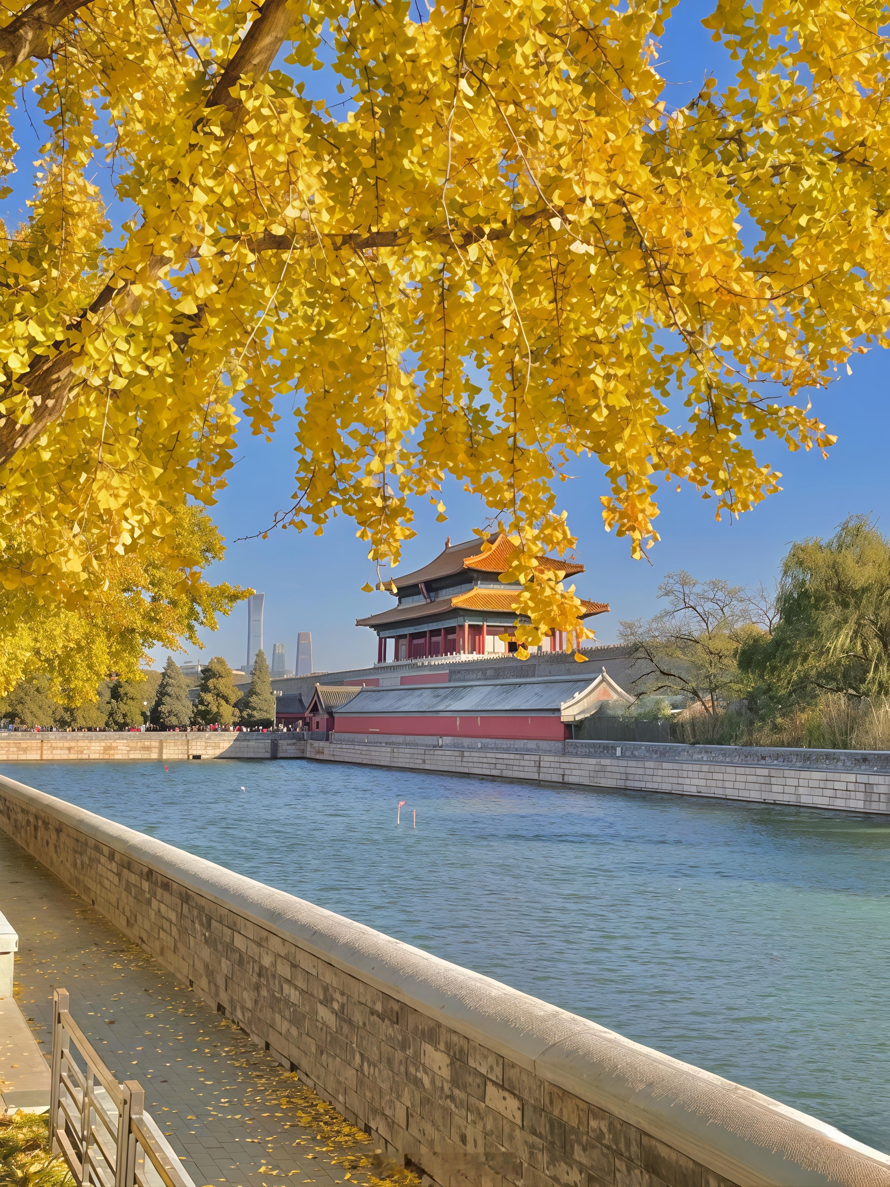 早安各位，今天是11月6日周四，祝大家八方来财，万事顺遂[给力][给力]，盆满钵