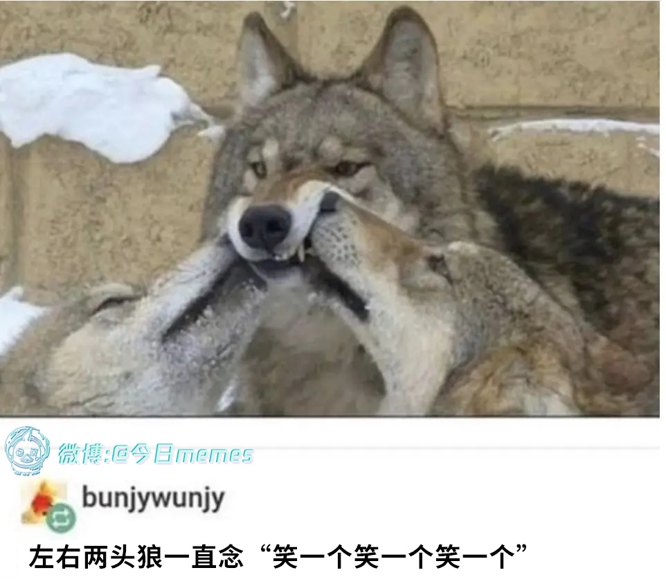 酸料酸料（9gag）今日meme今日memes