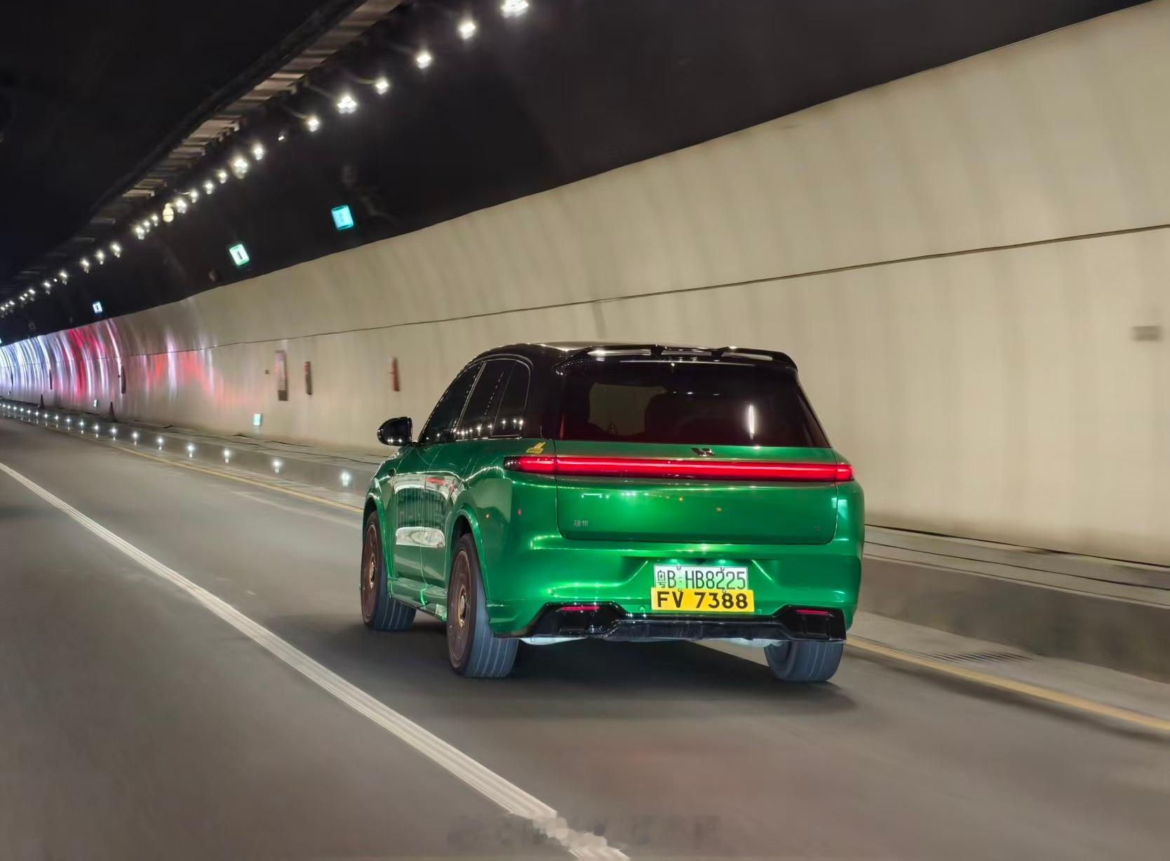 💚车友这台理想L8 也太绿了……