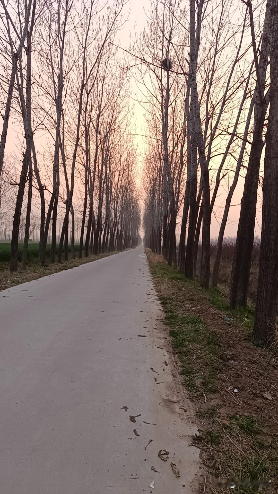 一个人觉醒后最大的表现就是再也不会过分执着，无情可破全局，这样的人对待任何关系唯