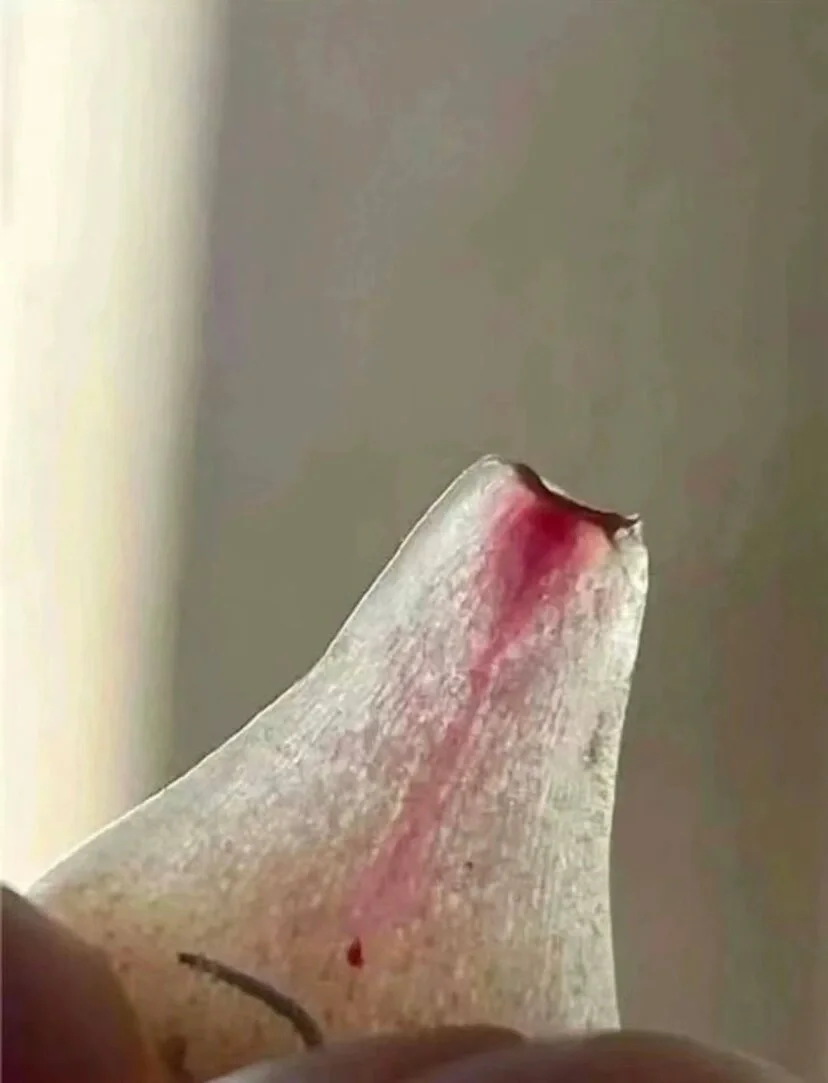 这才是真的考公