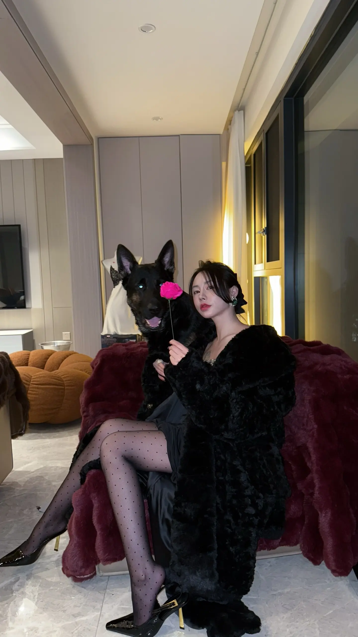 【德牧·巴克】巴克说好久不见。