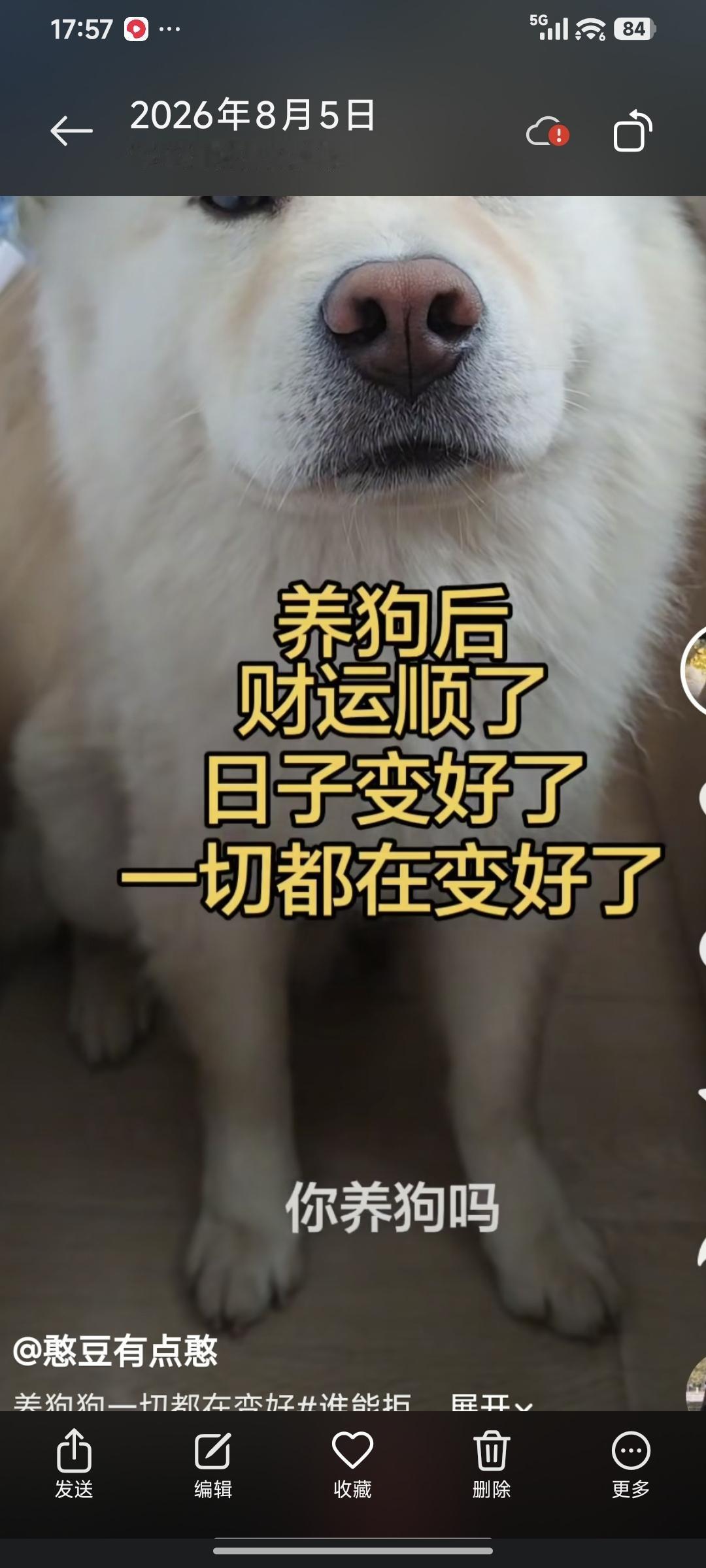 经常在网上看见一些爱狗人士自吹自擂，自欺欺人的文字，说什么爱狗有福报，养狗有财运