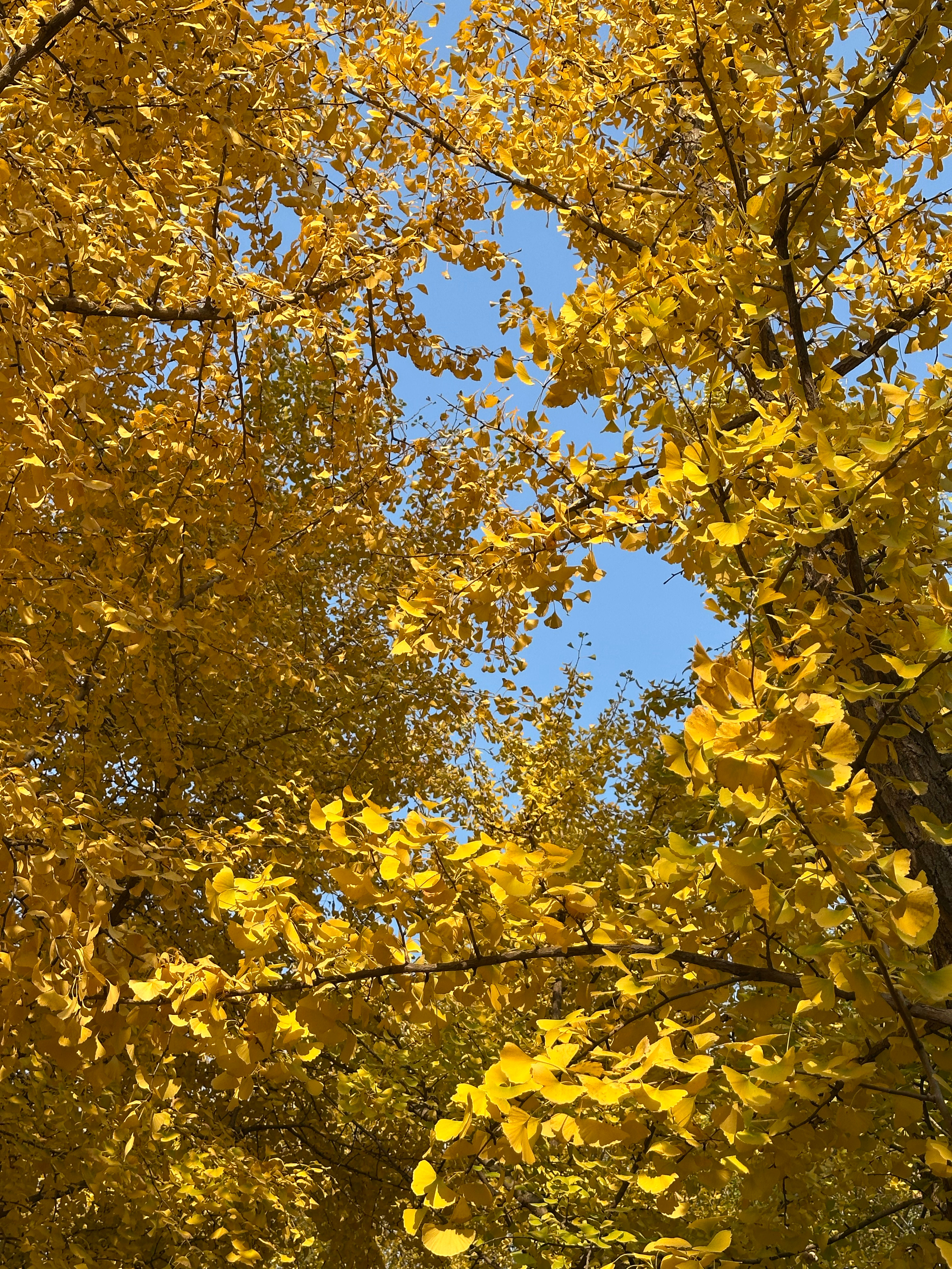 这不是北京 是在济南！日常分享 济南