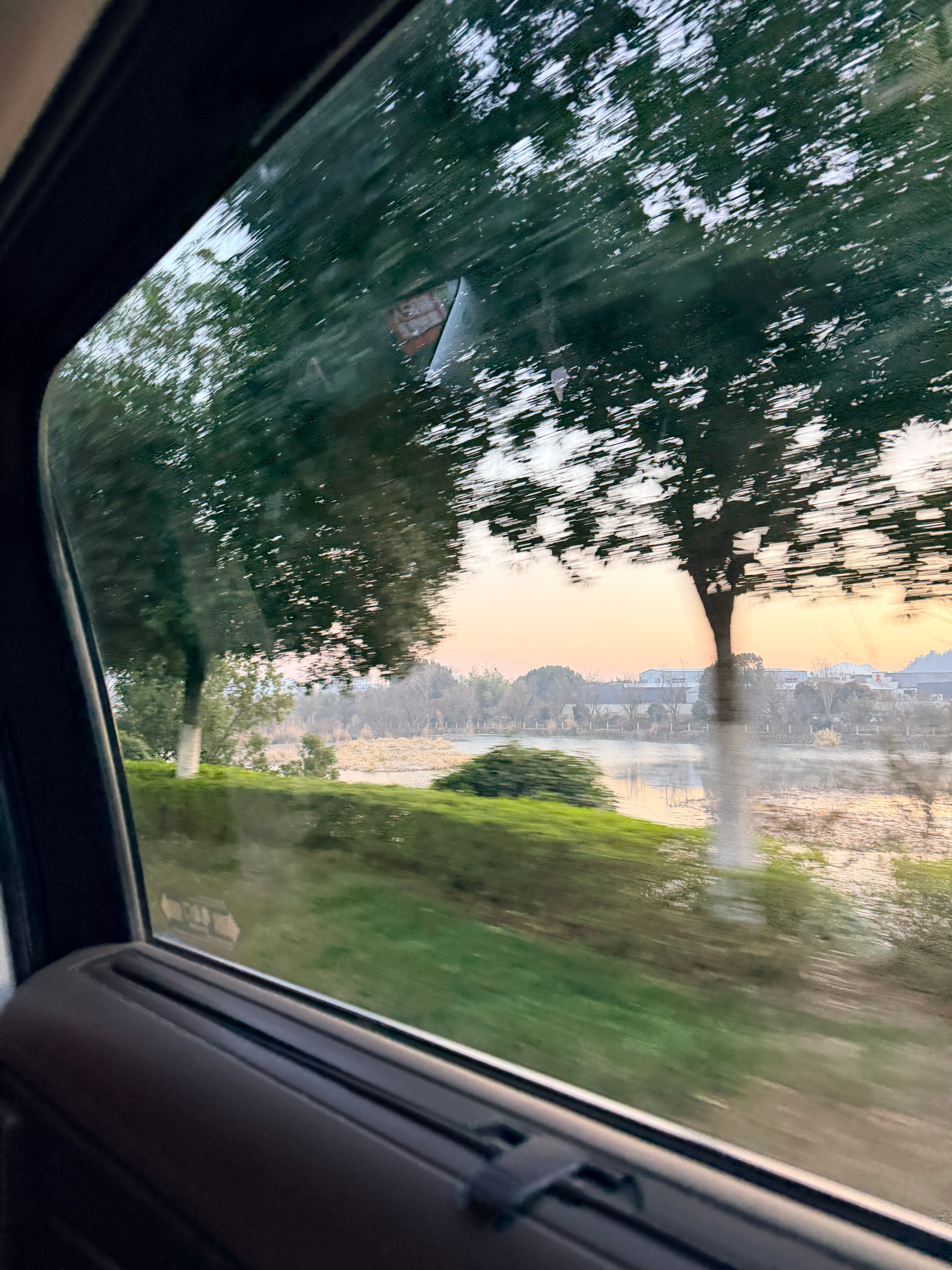 又是早起出门的一天~住了两晚才发现酒店竟然有孔雀