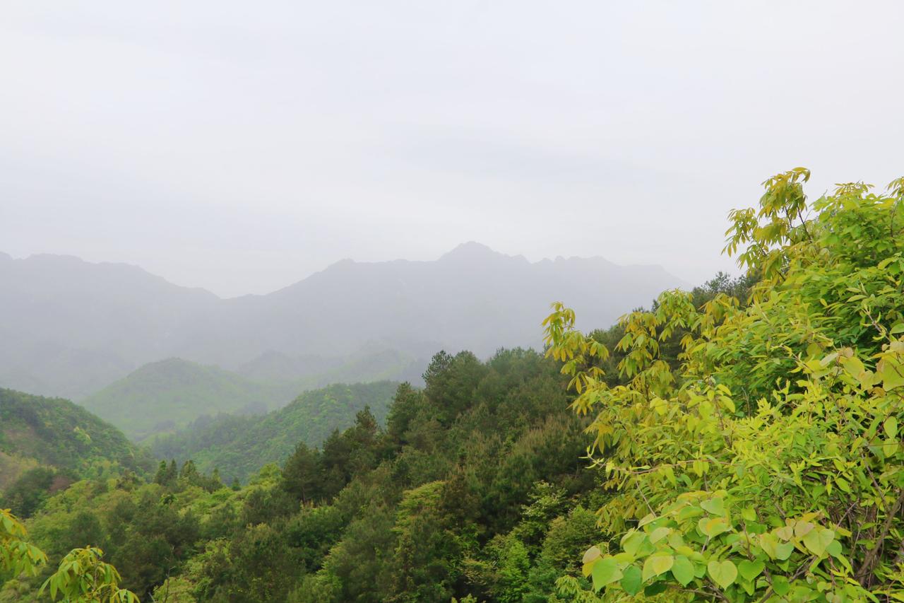 朋友家的孩子够南师附中的分数线，属于哪种指标生，其实如果心态不是很好的话，真的没