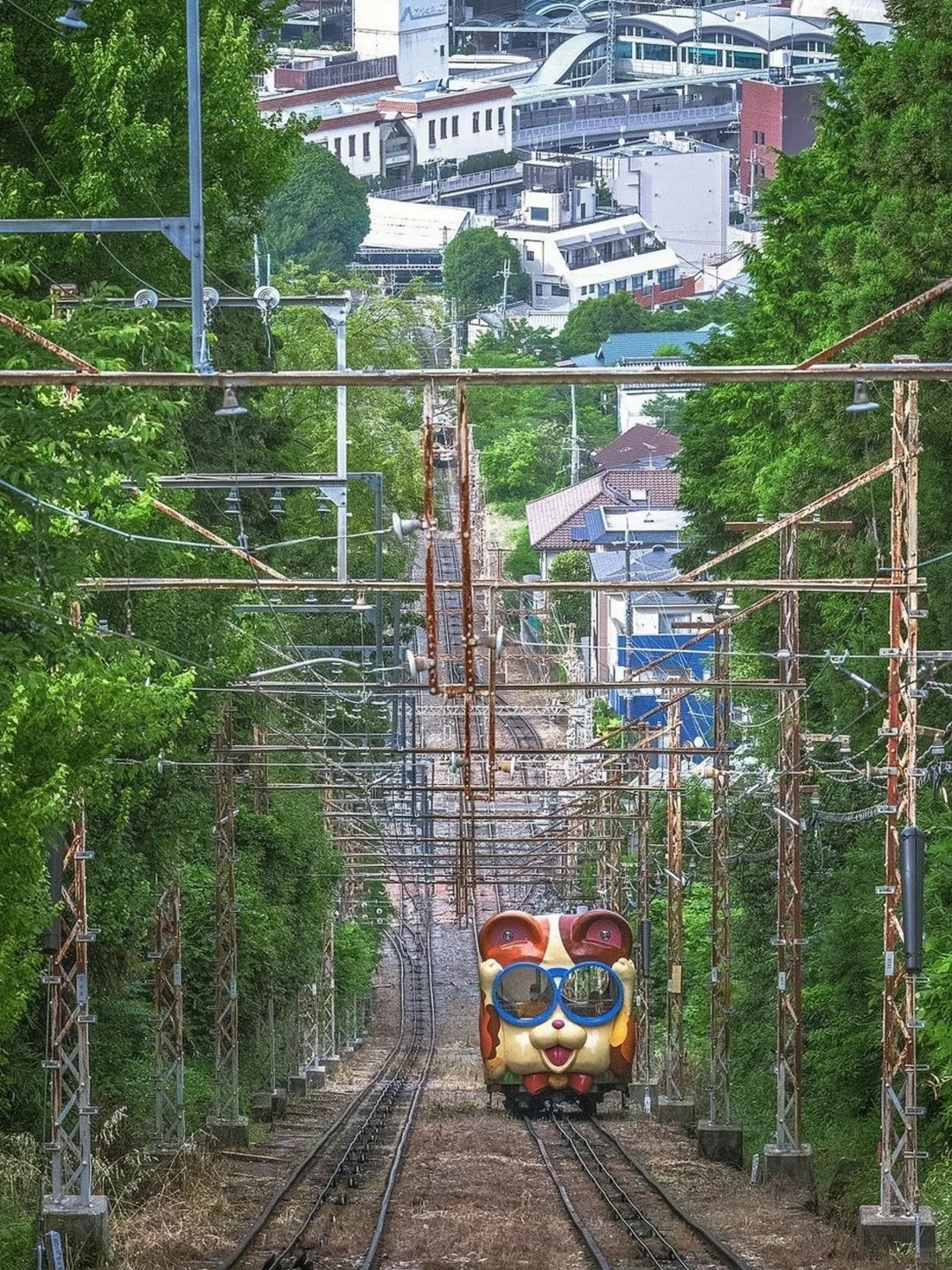 🇯🇵最古老的缆车🚞!!狗狗车就是坠可爱哒