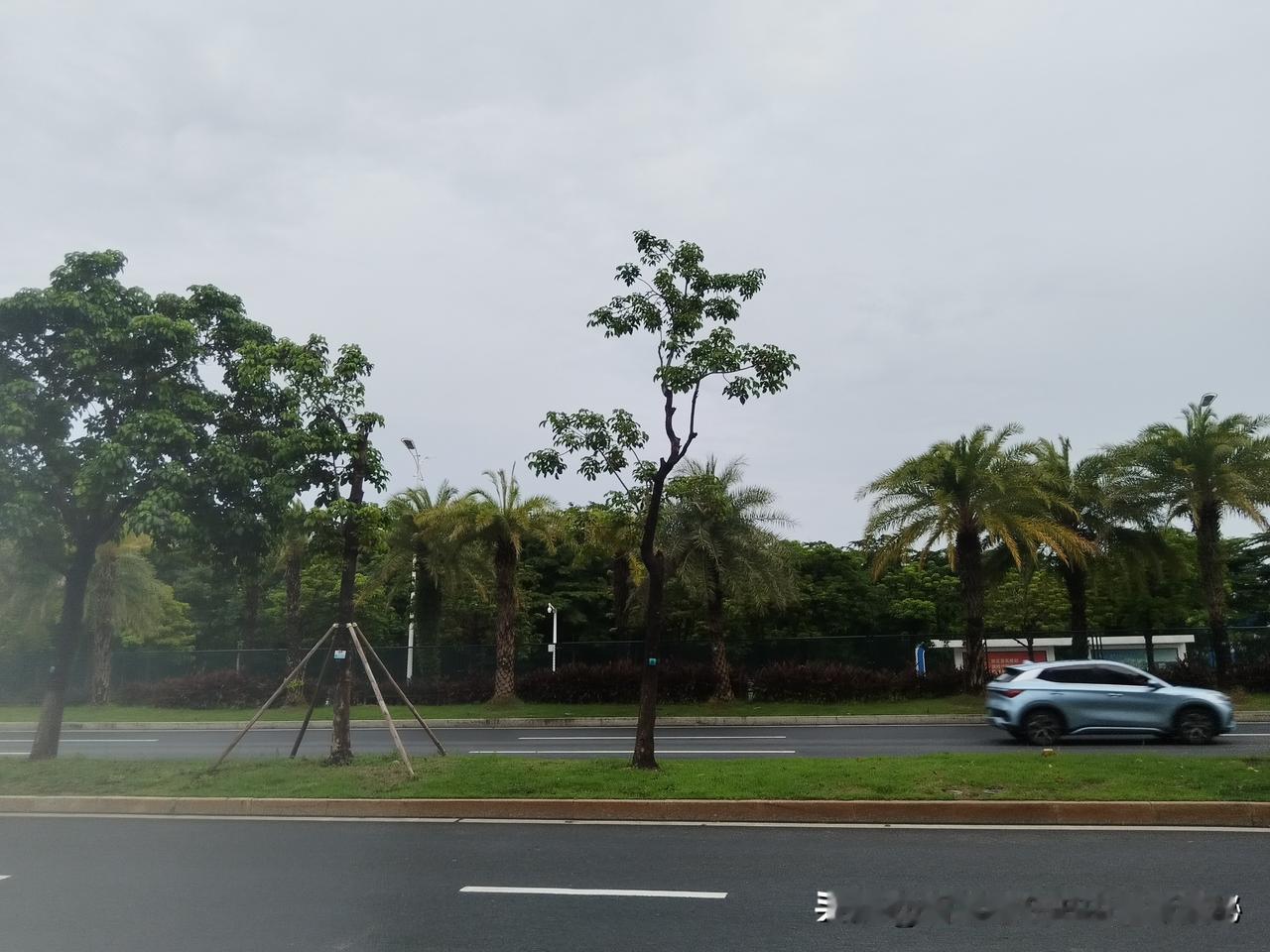 早安，亲爱的你。

清晨的第一缕阳光穿过窗帘缝隙，在枕边落下细碎的金色光斑，闹钟
