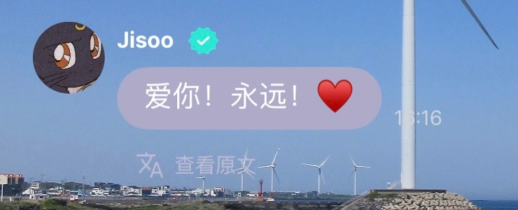 爱你 永远 