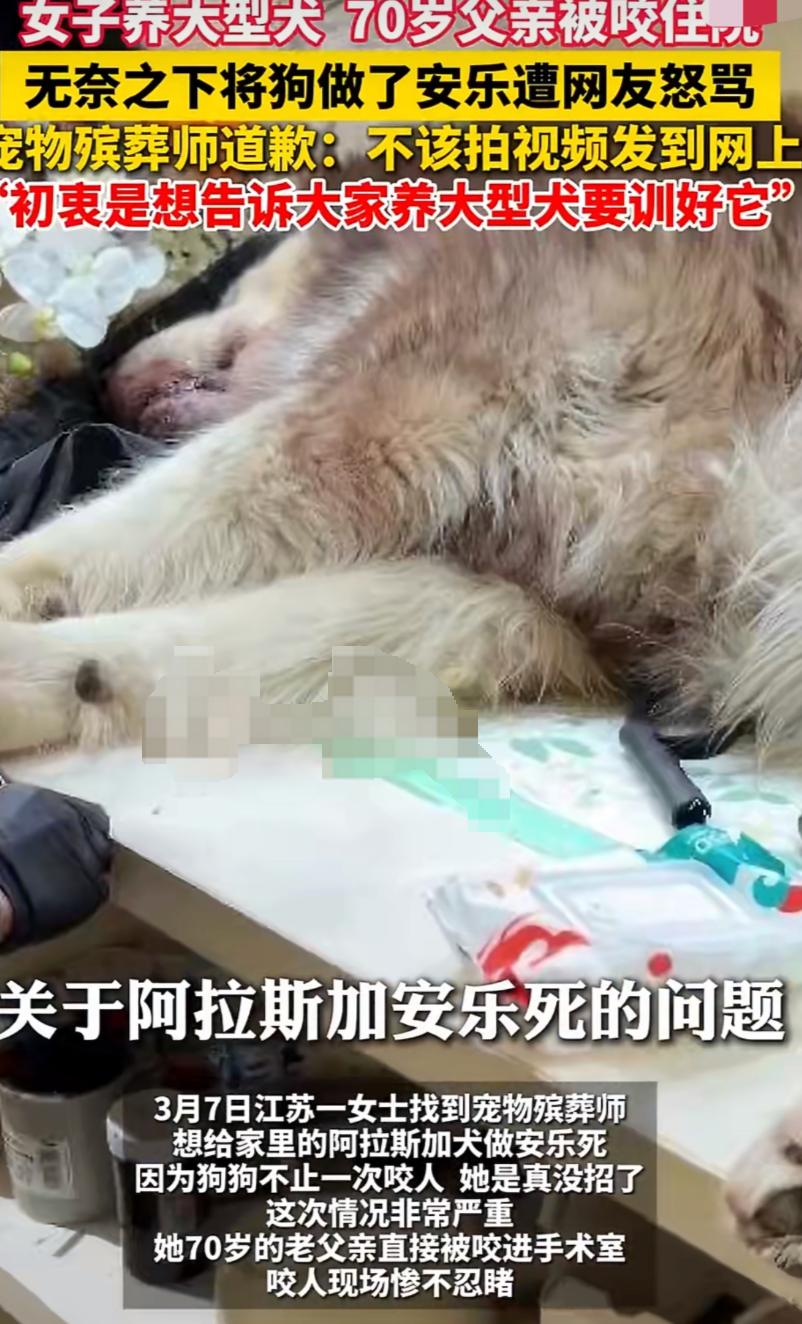 被誉为“狠心主人”的她才是最无奈的受害者，全网都在指责她狠心，可真相藏往往藏在最