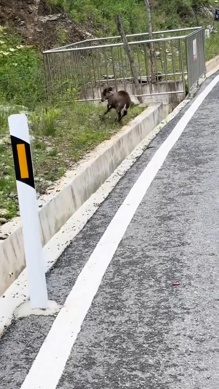 嗯，嗯，啊，啊，啊，啊，啊，啊，啊，啊，啊，啊，啊，啊，啊，啊。
