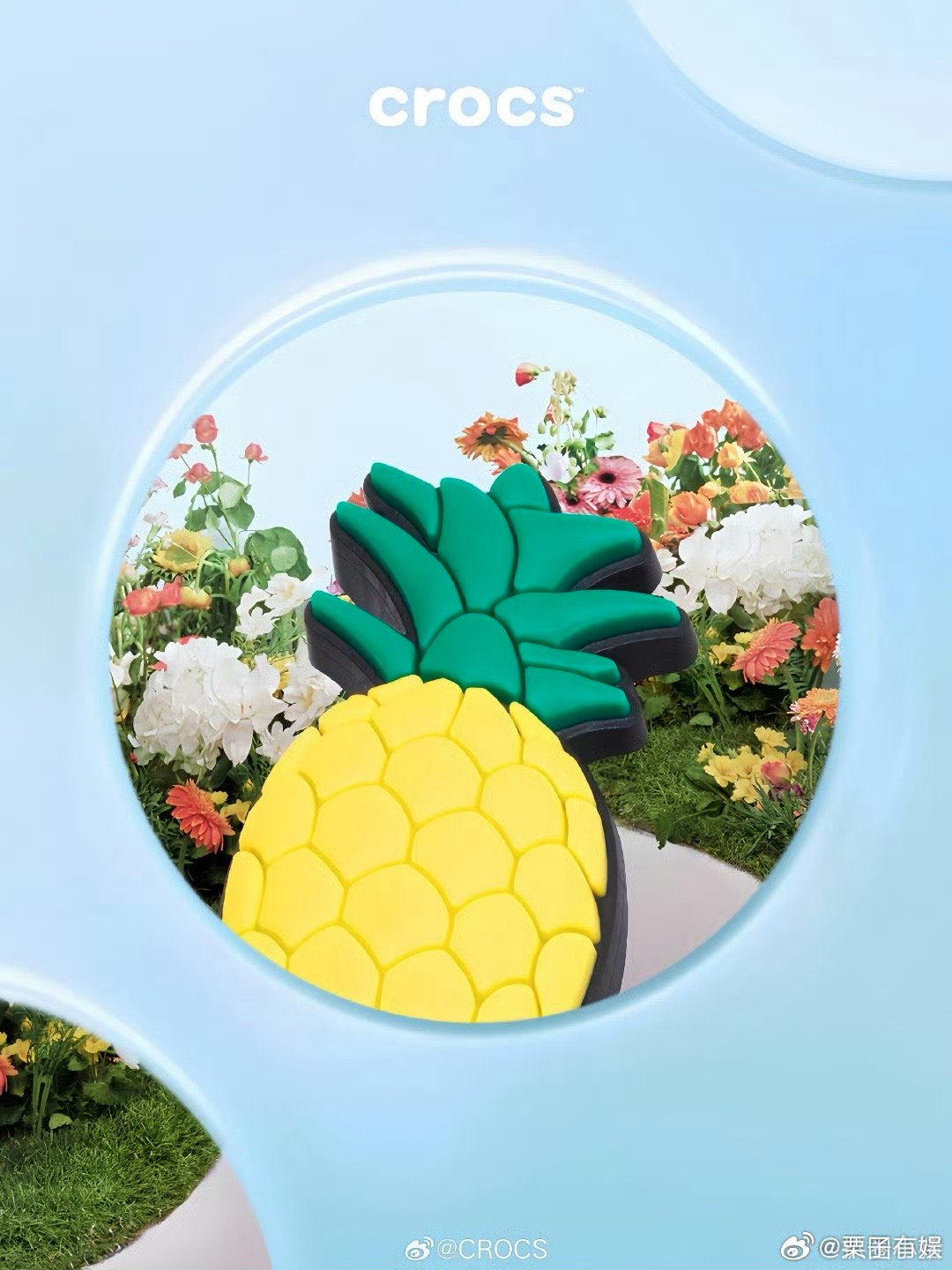 白鹿crocs预告海报白鹿crocs预热海报白鹿crocs海报预热，期待官宣，[