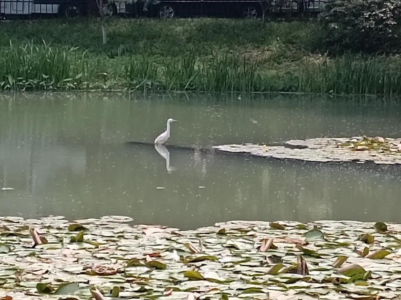 秋天的旅行，是一次心灵的朝圣。季节更替，万物荣枯，皆是生命的轮回。在山川间行走，