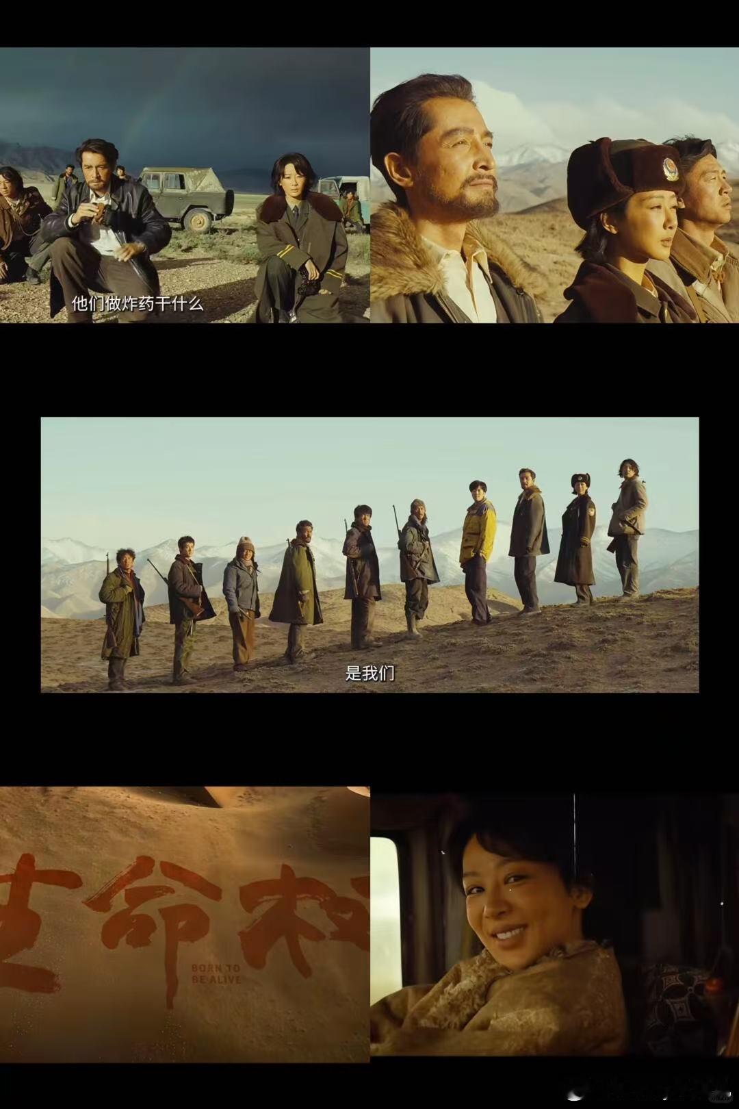 生命树巡山队人均SSR 白菊的锐利划破迷雾，多杰的厚重稳住军心，邵云飞的专注锁定