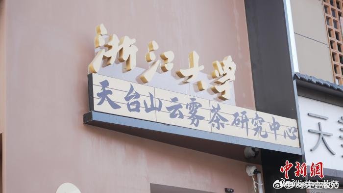 台州天台用工业思维重新定义一杯茶 天台以"工业理念"发展茶产业：科技赋能全链，数
