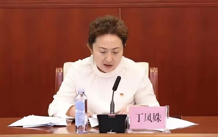 北方小年前夕的一条大鱼出水，这次是在哈尔滨，医疗领域的权威专家。
丁凤姝气质出众